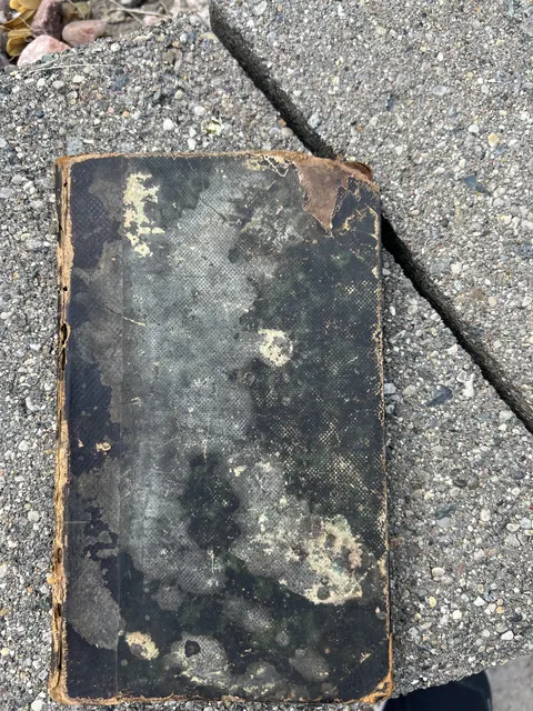 The worn dark cover of the book, blotched and rubbed, with no title or lettering of any kind